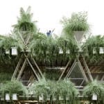 Проект бамбукового города в Китае